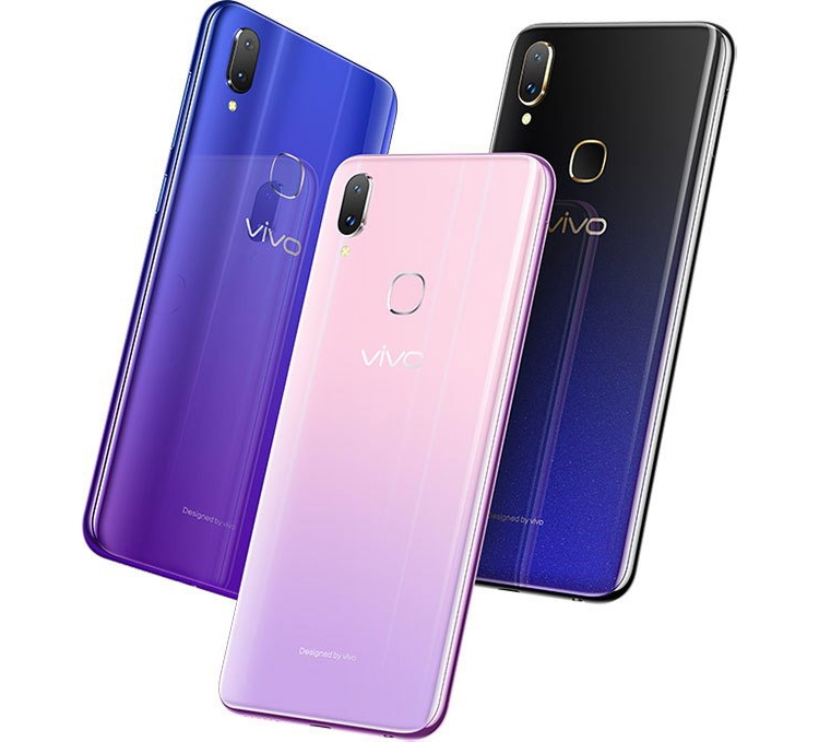 vivo1.jpg